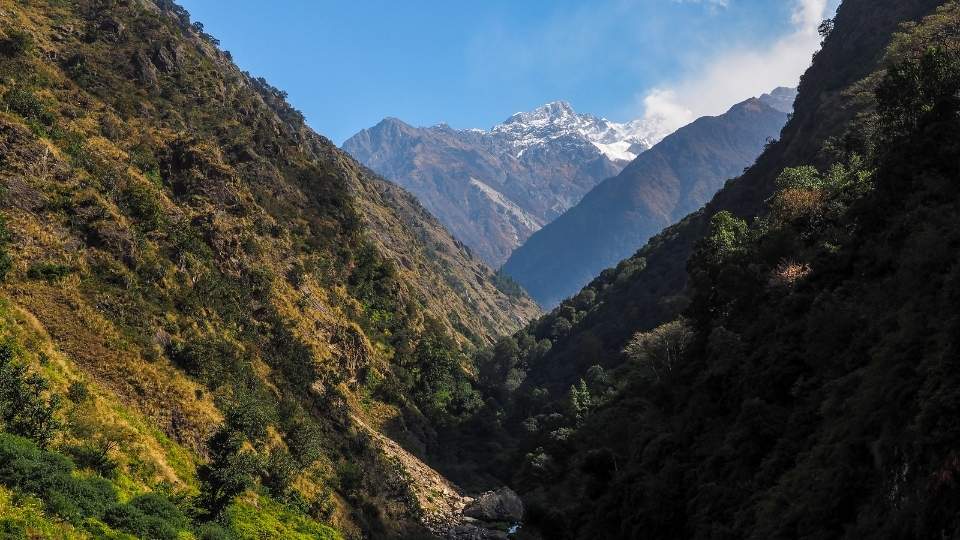 Langtang Valley: 12 Interesting Facts 2 Langtang Valley