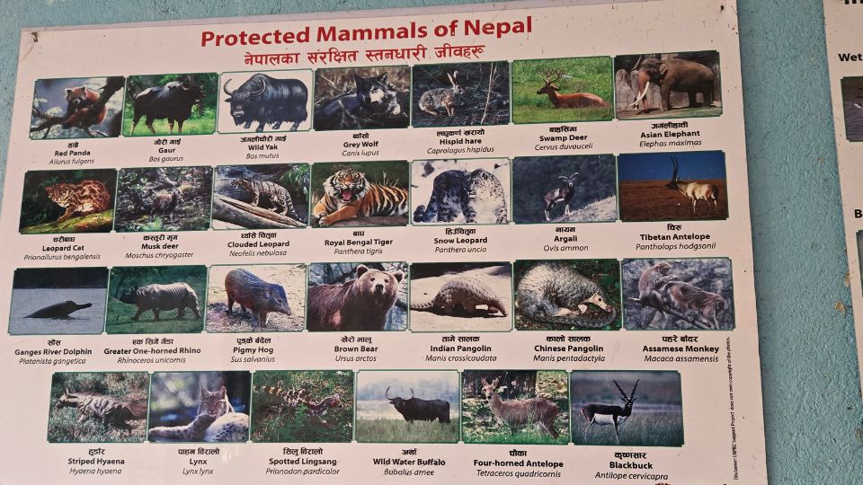 41 Best Photos from Langtang Trek 39 Animals Found in Langtang Valley