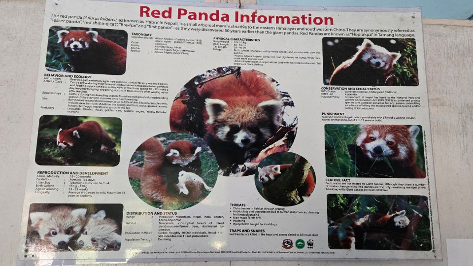 41 Best Photos from Langtang Trek 40 Red Panda Information Center in Langtang Valley