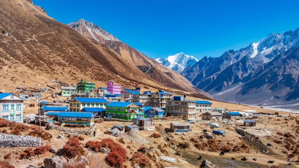 Independent vs. Guided Langtang Valley Trek Cost: 2026 Comparison 2 Langtang Trek in Autumn Season