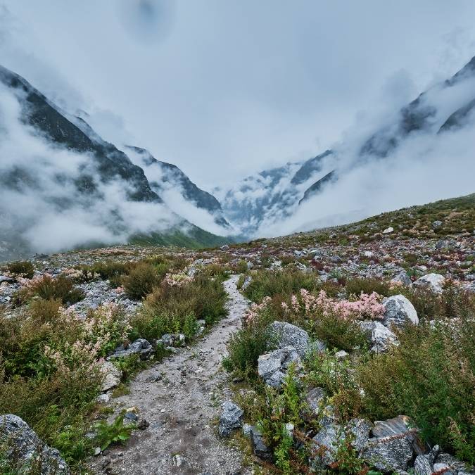 Best Months and Seasons for Langtang Valley Trek (2026/2027) 13 Langtang Valley in Monsoon Season