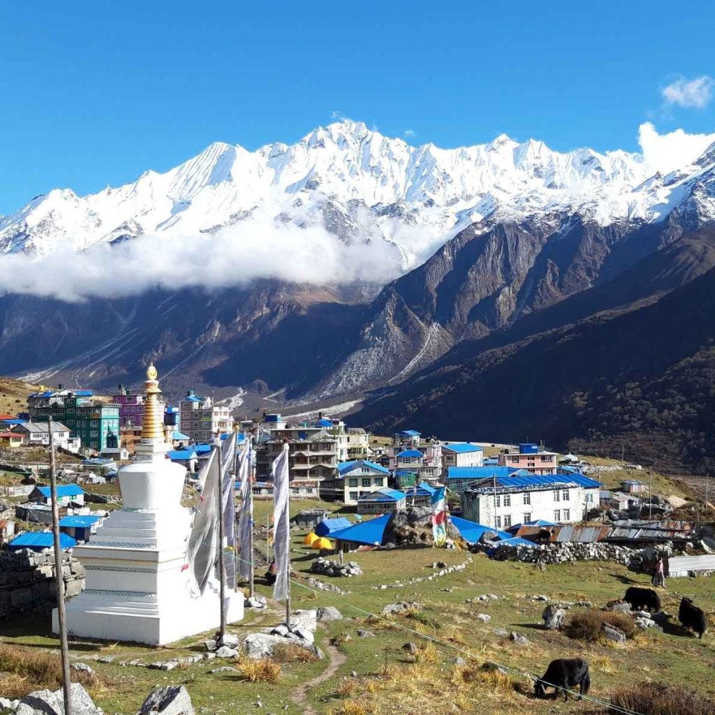 8-Day Langtang Valley Trek New Itinerary & Cost after Flood 4 Kyanjin Gompa