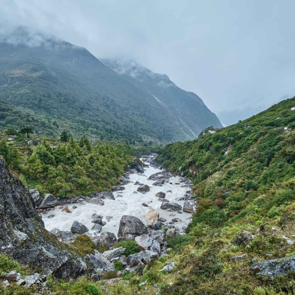 8-Day Langtang Valley Trek New Itinerary & Cost after Flood 3 Langtang Khola