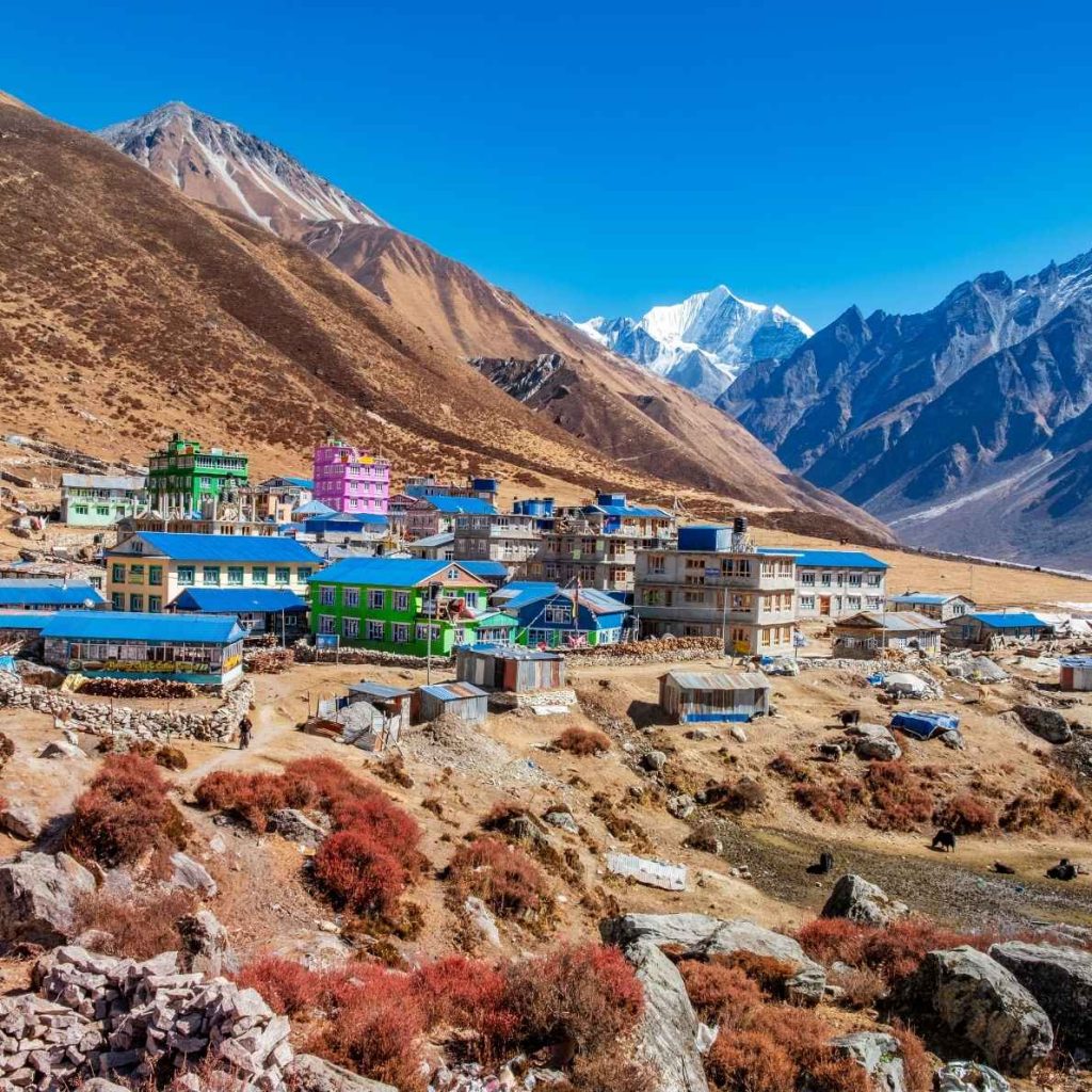 8-Day Langtang Valley Trek New Itinerary & Cost after Flood 7 Tserko Ri, Kyanjin Gompa and Gangchenpo
