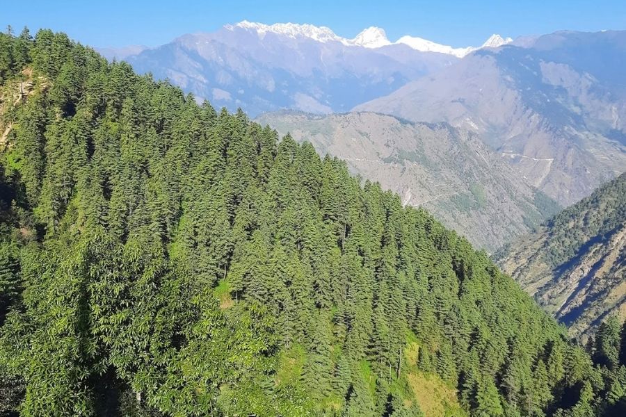 Thulo Syabru Village Guide - History, Trekking Routes, Accommodation, Culture 3 View From Around Thulo Syabru